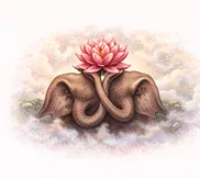 Uttara Phalguni